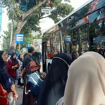 Cara Naik Bus Listrik Medan