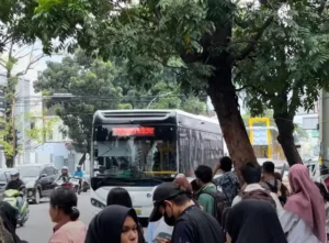 Rute Bus Listrik Medan Pinang Baris